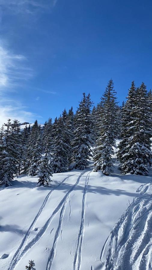 Alpinresort Kaprun 1 Zewnętrze zdjęcie